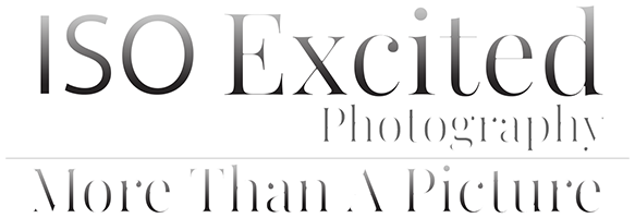 ISO Excited Photography header. Slogan-"More Than a Picture".