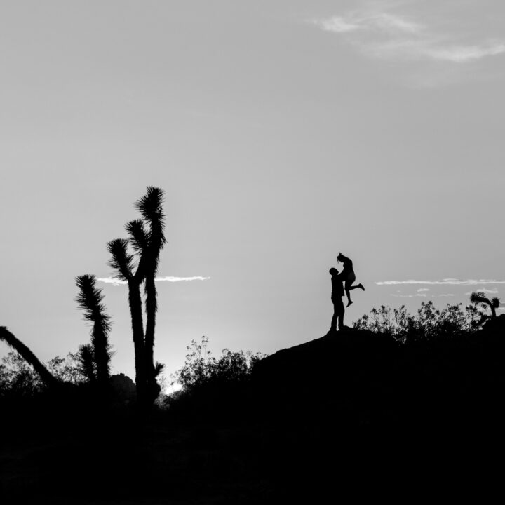 A striking black and white silhouette of the couple atop a desert rock at sunset. One person lifts the other in a joyful leap, framed by Joshua trees and fading light on the horizon.